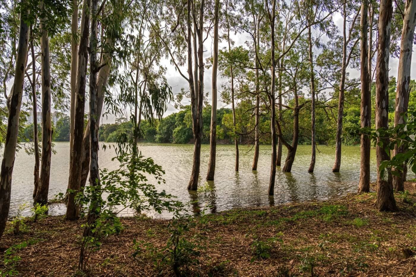 Project gallery image 2