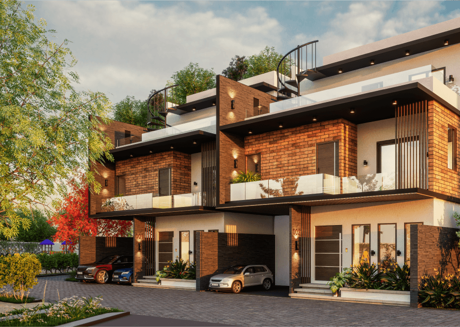 Saiven Mulberry Groves