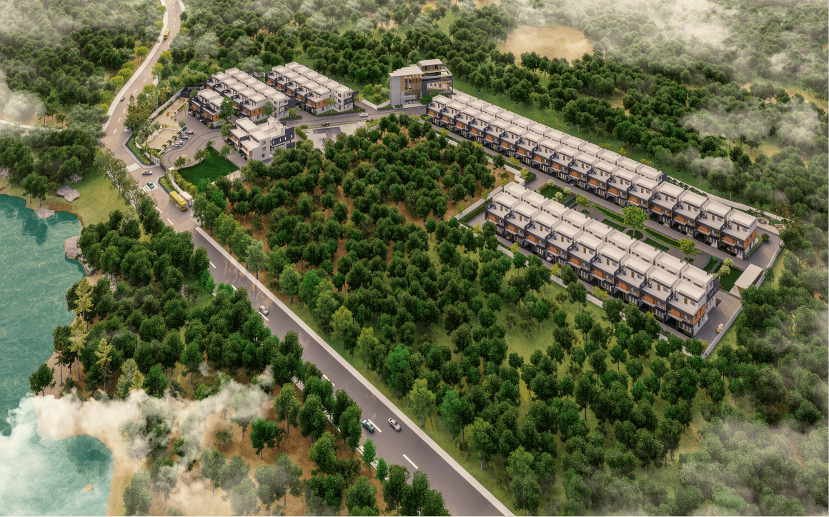 Saiven Mulberry Groves overview